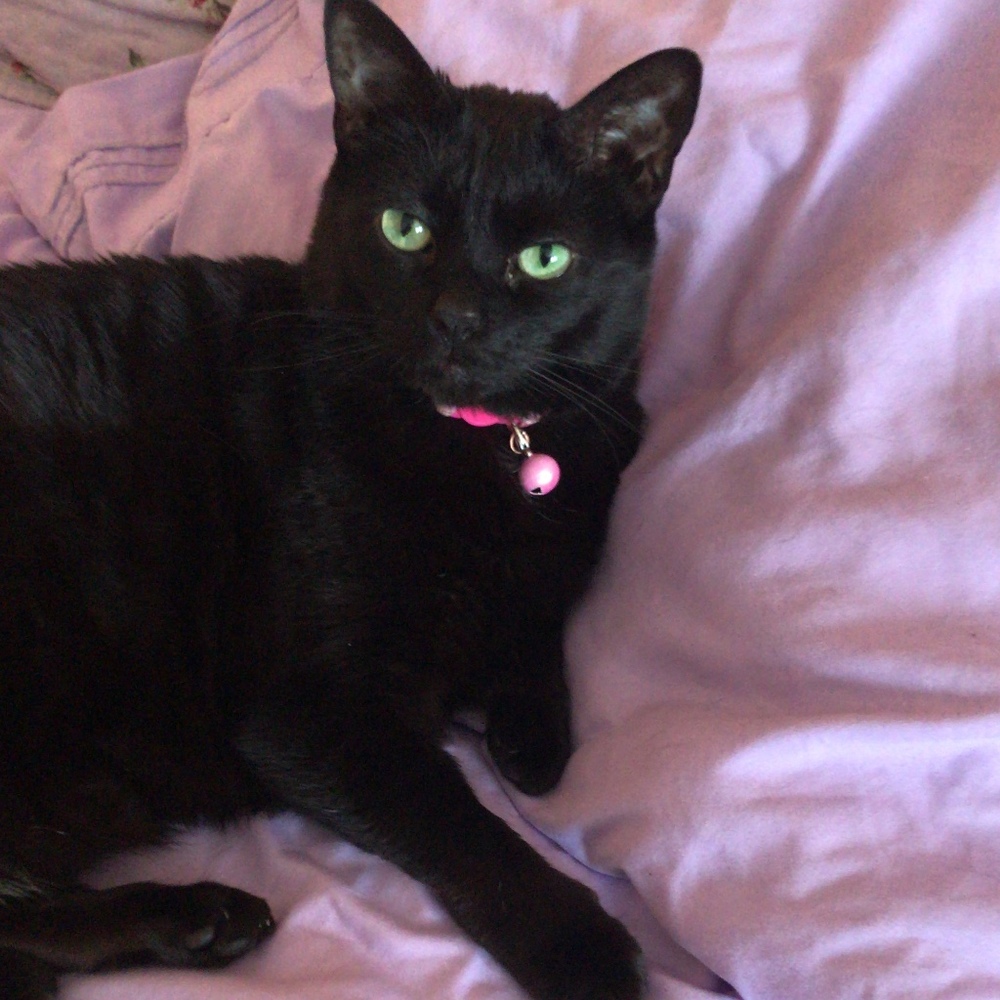 Meet your Posher, Lorena